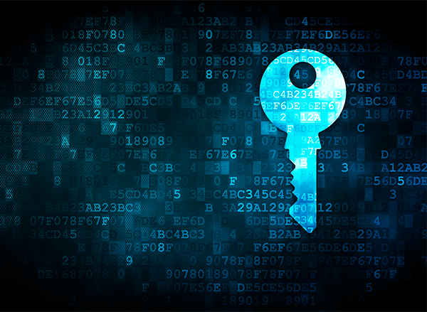 sicurezza dei dati aziende sicurezza dei dati aziende