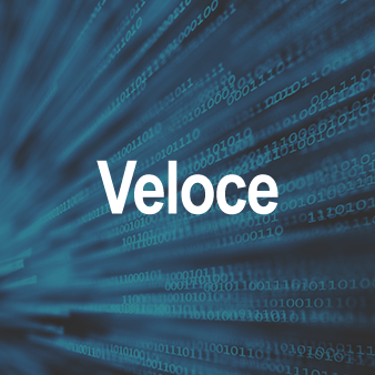 vulnerability assessment veloce vulnerability assessment veloce