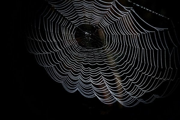 dark web siti dark web siti