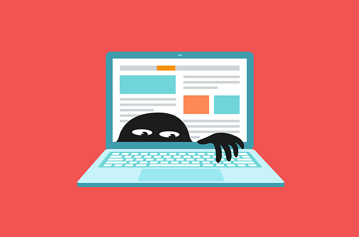 pirateria informatica pirateria informatica