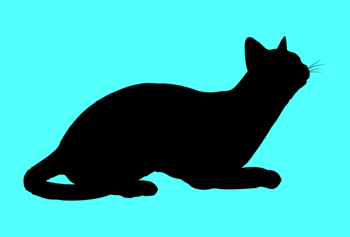 blackcat ransomware blackcat ransomware