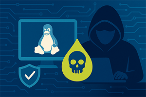 Rootkit Curing: la nuova minaccia Linux che elude i sistemi di sicurezza rootkit curing vulnerabilita linux image