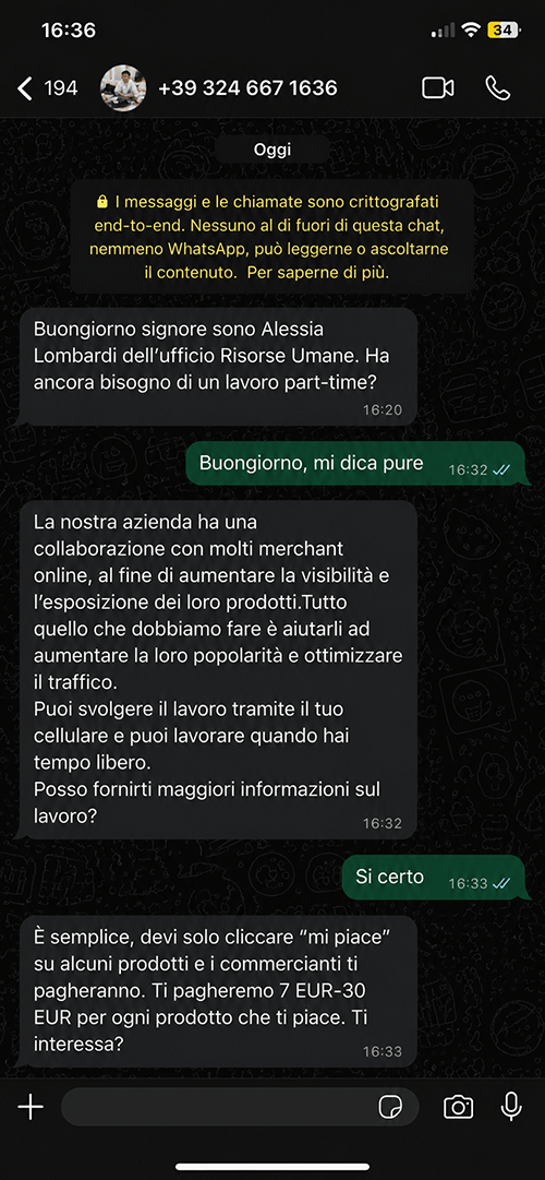 truffa curriculum chat whatsapp